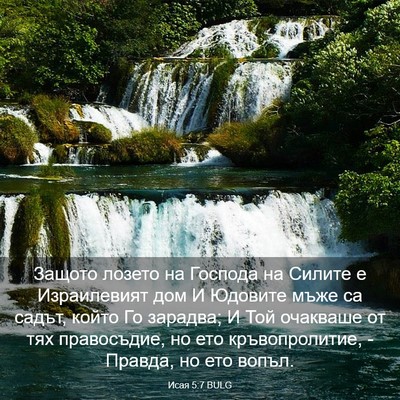 Picture 03 - Исая 5:7 BULG - Защото лозето на Господа - Bible Verse Picture