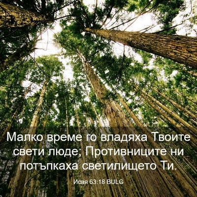Picture 03 - Исая 63:18 BULG - Малко време го владяха - Bible Verse Picture