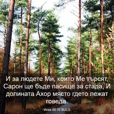 Picture 03 - Исая 65:10 BULG - И за людете Ми, които Ме - Bible Verse Picture