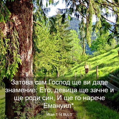 Picture 03 - Исая 7:14 BULG - Затова сам Господ ще ви - Bible Verse Picture