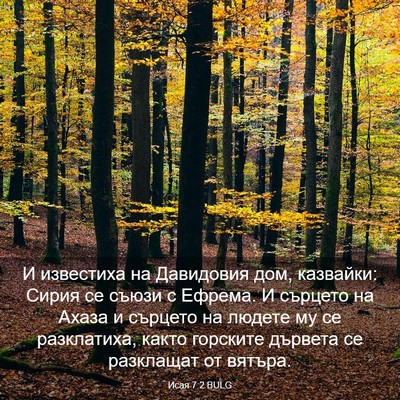 Picture 03 - Исая 7:2 BULG - И известиха на Давидовия - Bible Verse Picture