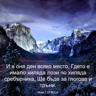 Picture 03 - Исая 7:23 BULG - И в оня ден всяко място, - Bible Verse Picture