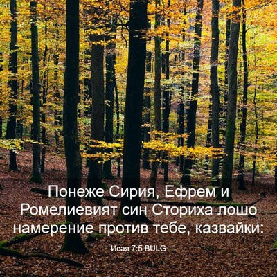 Picture 03 - Исая 7:5 BULG - Понеже Сирия, Ефрем и - Bible Verse Picture