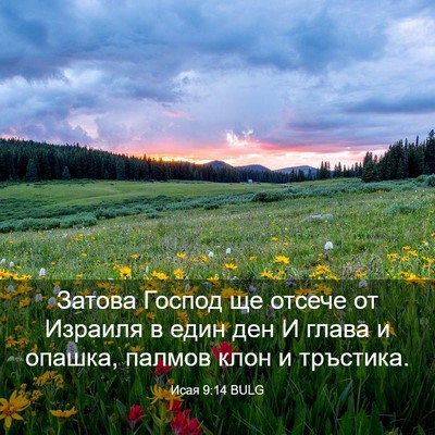 Picture 03 - Исая 9:14 BULG - Затова Господ ще отсече от - Bible Verse Picture