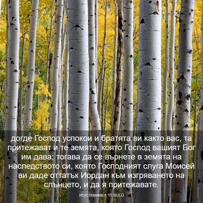 Picture 03 - Исус Навиев 1:15 BULG - догде Господ успокои и - Bible Verse Picture