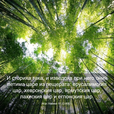 Picture 03 - Исус Навиев 10:23 BULG - И сториха така, и изведоха - Bible Verse Picture