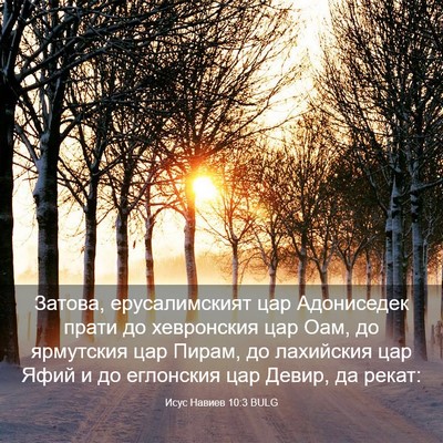 Picture 03 - Исус Навиев 10:3 BULG - Затова, ерусалимският цар - Bible Verse Picture