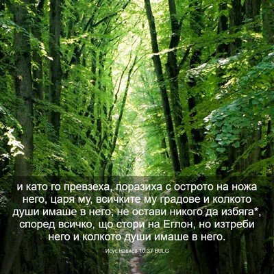 Picture 03 - Исус Навиев 10:37 BULG - и като го превзеха, - Bible Verse Picture