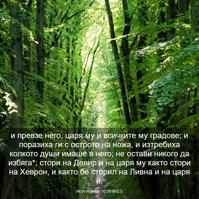Picture 03 - Исус Навиев 10:39 BULG - и превзе него, царя му и - Bible Verse Picture