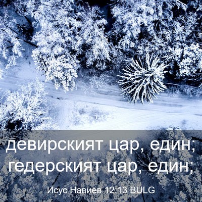 Picture 03 - Исус Навиев 12:13 BULG - девирският цар, един; - Bible Verse Picture
