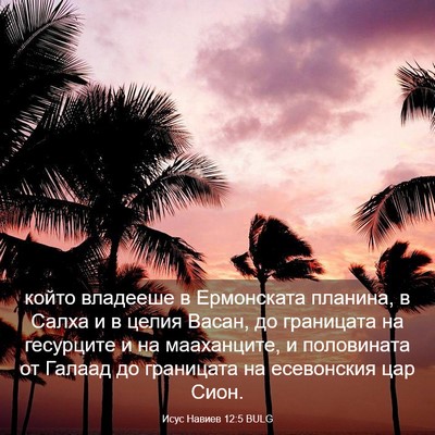 Picture 03 - Исус Навиев 12:5 BULG - който владееше в - Bible Verse Picture