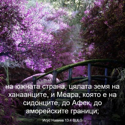 Picture 03 - Исус Навиев 13:4 BULG - на южната страна, цялата - Bible Verse Picture