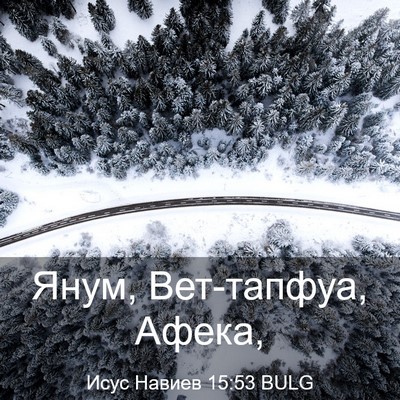 Picture 03 - Исус Навиев 15:53 BULG - Янум, Вет-тапфуа, - Bible Verse Picture