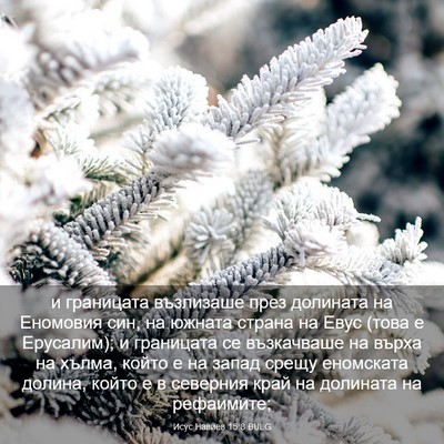 Picture 03 - Исус Навиев 15:8 BULG - и границата възлизаше през - Bible Verse Picture
