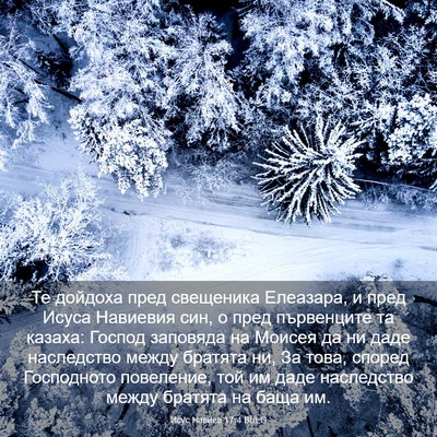 Picture 03 - Исус Навиев 17:4 BULG - Те дойдоха пред свещеника - Bible Verse Picture