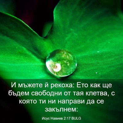 Picture 03 - Исус Навиев 2:17 BULG - И мъжете й рекоха: Ето как - Bible Verse Picture