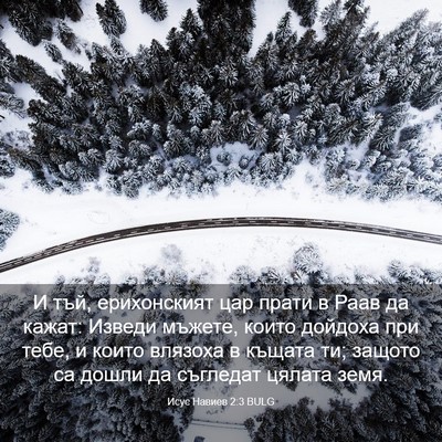 Picture 03 - Исус Навиев 2:3 BULG - И тъй, ерихонският цар - Bible Verse Picture