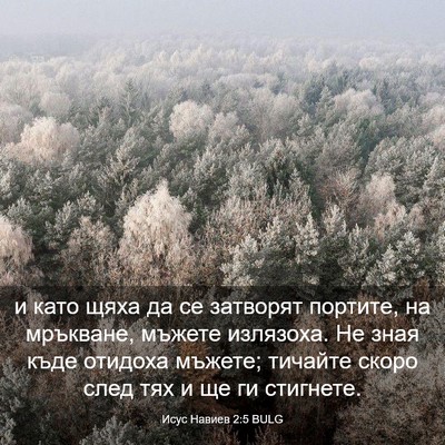 Picture 03 - Исус Навиев 2:5 BULG - и като щяха да се затворят - Bible Verse Picture