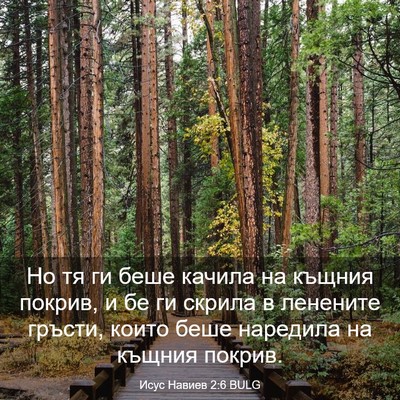 Picture 03 - Исус Навиев 2:6 BULG - Но тя ги беше качила на - Bible Verse Picture