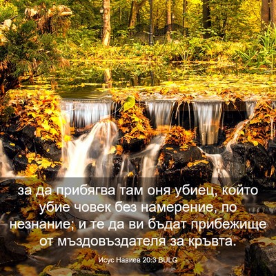 Picture 03 - Исус Навиев 20:3 BULG - за да прибягва там оня - Bible Verse Picture