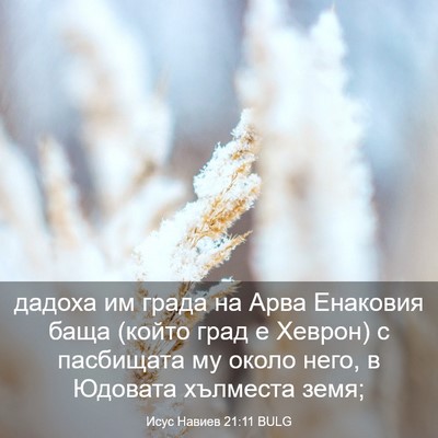 Picture 03 - Исус Навиев 21:11 BULG - дадоха им града на Арва - Bible Verse Picture
