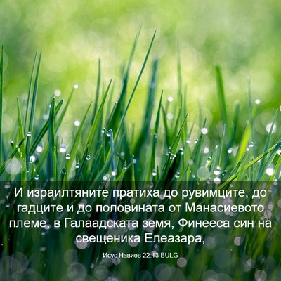 Picture 03 - Исус Навиев 22:13 BULG - И израилтяните пратиха до - Bible Verse Picture