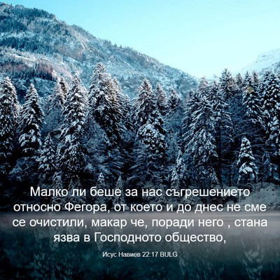 Picture 03 - Исус Навиев 22:17 BULG - Малко ли беше за нас - Bible Verse Picture