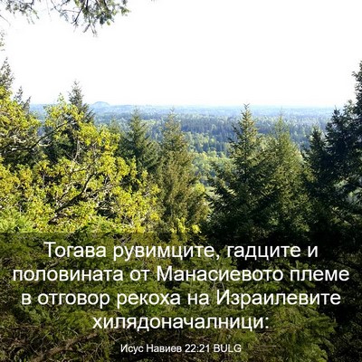 Picture 03 - Исус Навиев 22:21 BULG - Тогава рувимците, гадците - Bible Verse Picture