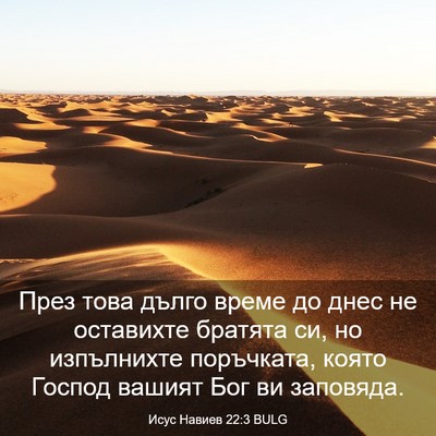 Picture 03 - Исус Навиев 22:3 BULG - През това дълго време до - Bible Verse Picture