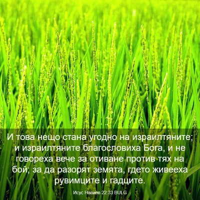 Picture 03 - Исус Навиев 22:33 BULG - И това нещо стана угодно на - Bible Verse Picture