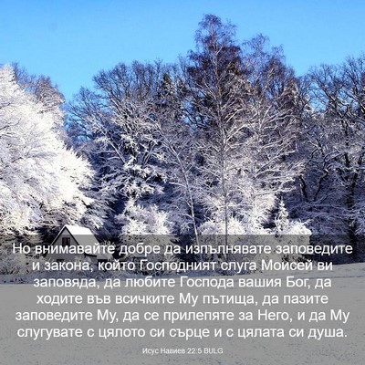 Picture 03 - Исус Навиев 22:5 BULG - Но внимавайте добре да - Bible Verse Picture