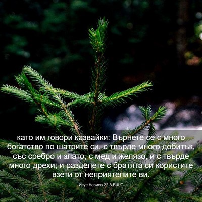 Picture 03 - Исус Навиев 22:8 BULG - като им говори казвайки: - Bible Verse Picture