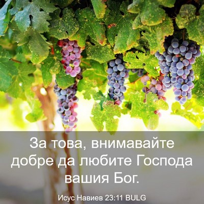 Picture 03 - Исус Навиев 23:11 BULG - За това, внимавайте добре - Bible Verse Picture