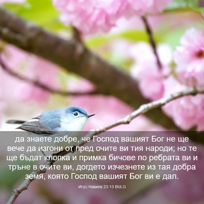 Picture 03 - Исус Навиев 23:13 BULG - да знаете добре, че Господ - Bible Verse Picture