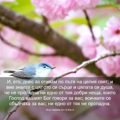 Picture 03 - Исус Навиев 23:14 BULG - И, ето, днес аз отивам по - Bible Verse Picture