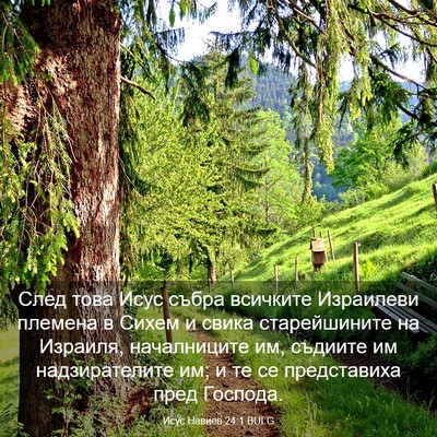 Picture 03 - Исус Навиев 24:1 BULG - След това Исус събра - Bible Verse Picture
