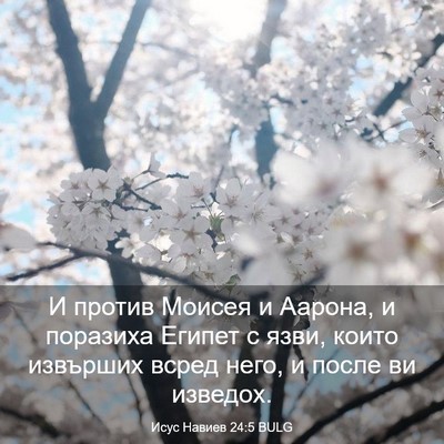 Picture 03 - Исус Навиев 24:5 BULG - И против Моисея и Аарона, и - Bible Verse Picture