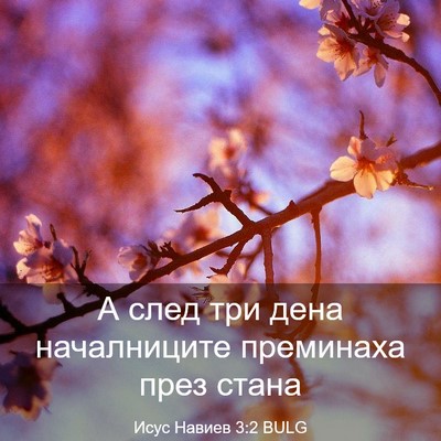 Picture 03 - Исус Навиев 3:2 BULG - А след три дена - Bible Verse Picture