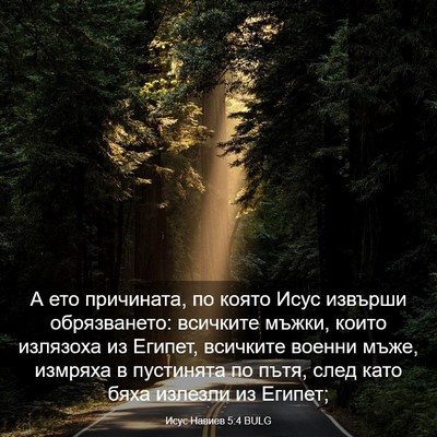 Picture 03 - Исус Навиев 5:4 BULG - А ето причината, по която - Bible Verse Picture