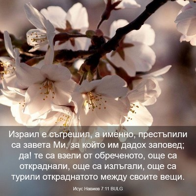 Picture 03 - Исус Навиев 7:11 BULG - Израил е съгрешил, а - Bible Verse Picture