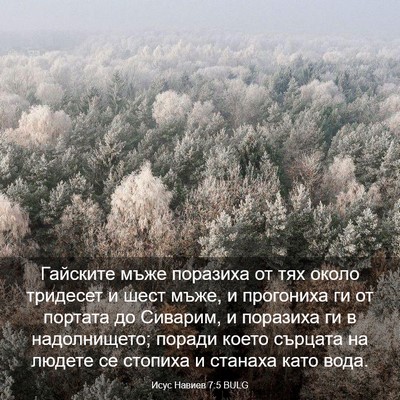 Picture 03 - Исус Навиев 7:5 BULG - Гайските мъже поразиха от - Bible Verse Picture