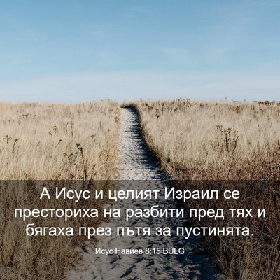 Picture 03 - Исус Навиев 8:15 BULG - А Исус и целият Израил се - Bible Verse Picture