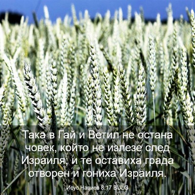 Picture 03 - Исус Навиев 8:17 BULG - Така в Гай и Ветил не - Bible Verse Picture