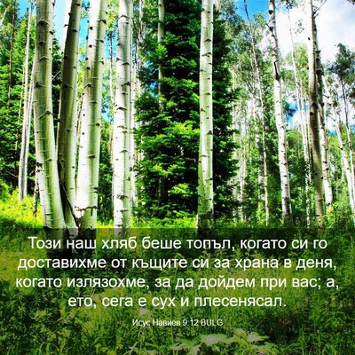 Picture 03 - Исус Навиев 9:12 BULG - Този наш хляб беше топъл, - Bible Verse Picture