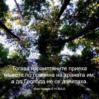 Picture 03 - Исус Навиев 9:14 BULG - Тогава израилтяните - Bible Verse Picture