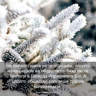 Picture 03 - Исус Навиев 9:18 BULG - Но израилтяните не ги - Bible Verse Picture