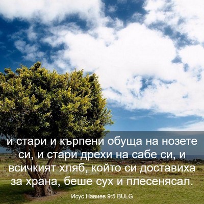 Picture 03 - Исус Навиев 9:5 BULG - и стари и кърпени обуща на - Bible Verse Picture