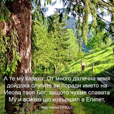 Picture 03 - Исус Навиев 9:9 BULG - А те му казаха: От много - Bible Verse Picture
