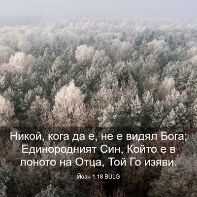 Picture 03 - Йоан 1:18 BULG - Никой, кога да е, не е видял - Bible Verse Picture