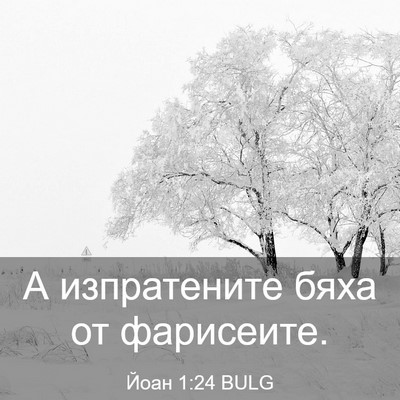 Picture 03 - Йоан 1:24 BULG - А изпратените бяха от - Bible Verse Picture